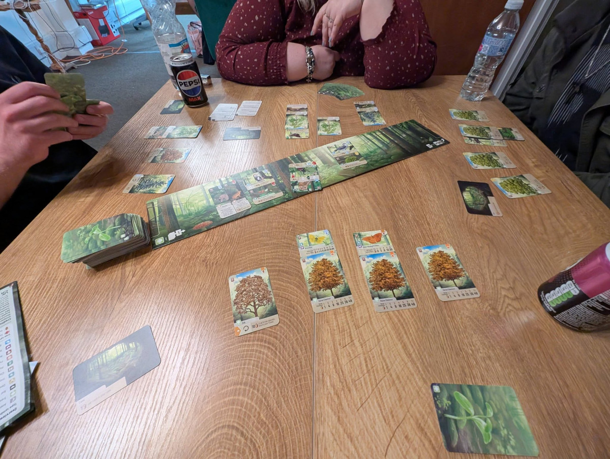 A game of Earth being played on our board game tables